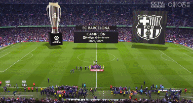 TA专栏：双足怪谢尔基，英超联赛的特立独行者（TA专栏：英超的异类谢尔基，双足魔术师）